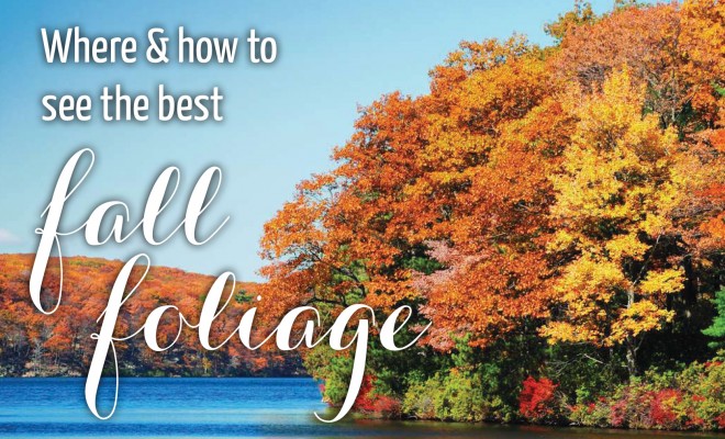 Where and How to see th ebest fall foliage
